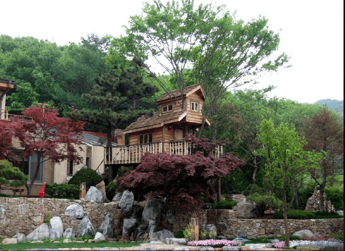 2009 광주