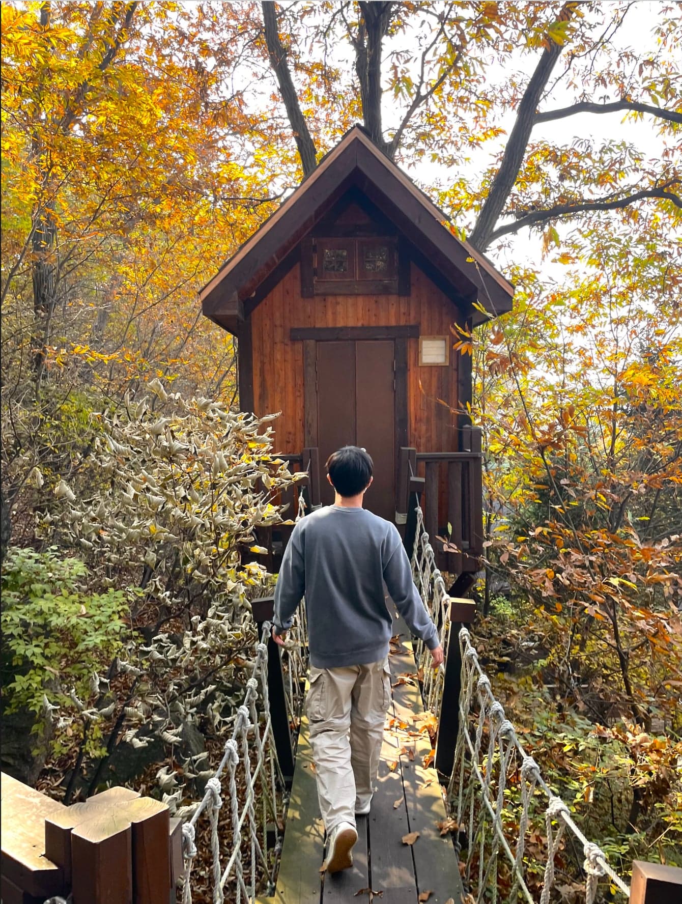 2016 용인