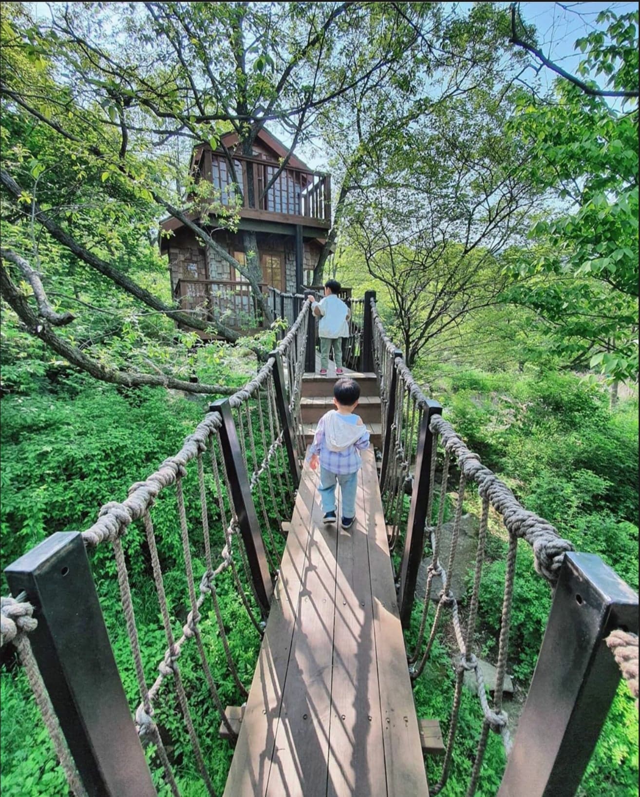 2017 황매산